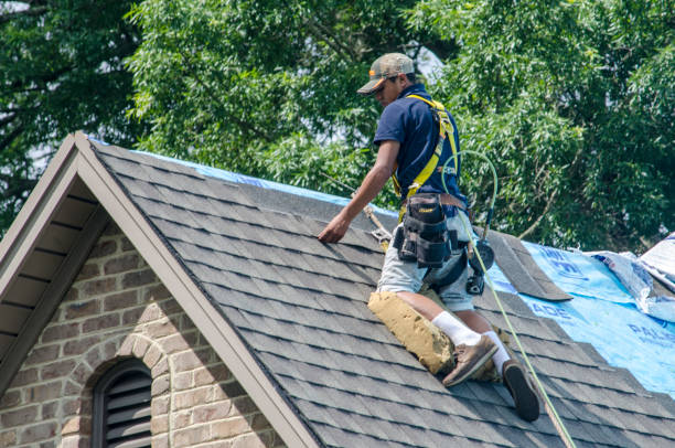 Best Local Roofing Companies  in Campbellsburg, KY